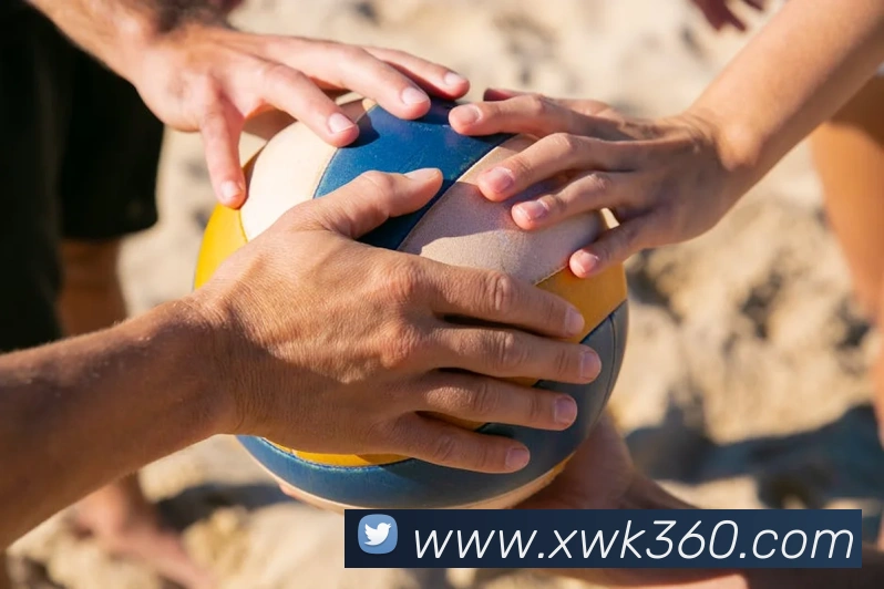 必一运动平台生态图